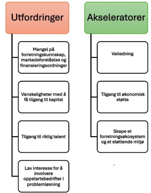Figuren viser et boksdiagram med ulike utfordringer og akseleratorer som kan fremme oppstartsbedrifter. Utfordringene kan være: mangel på forretningskinnskap, finansiering, tilgang på riktig talenter med mer. Akseleratorer kan være: veiledning, tilgang på økonomisk støtte og tilrettelegging av støttesystemer.