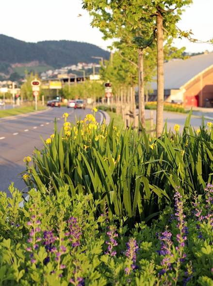 Fotoet viser en veikant med blomster og tr&aelig;r.