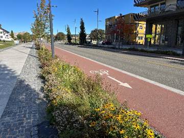 Fotoet viser et sykkelfelt ved siden av et regnbed.